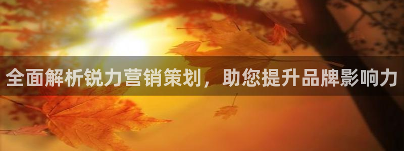 必赢集团怎么样