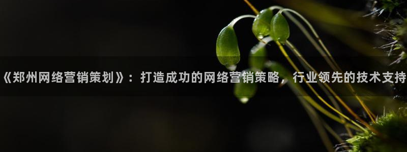 必赢亚赢网站官网下载安装手机版