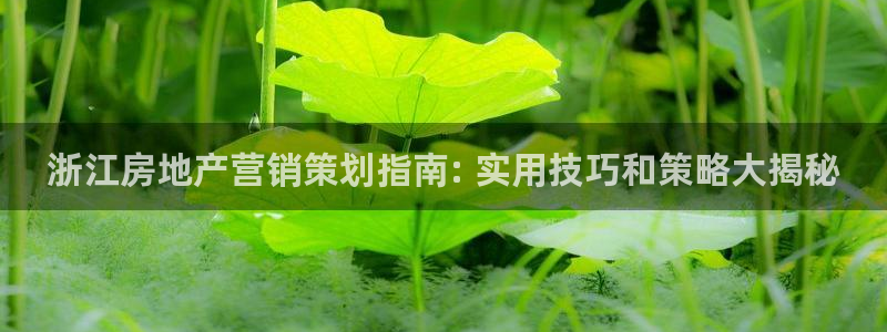 必赢官网入口下载安装手机版