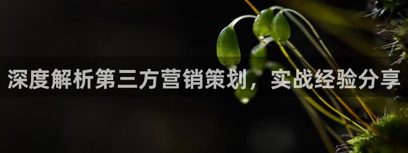 必赢网址谁知道