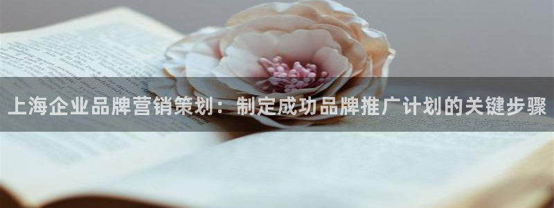 776net必赢官网