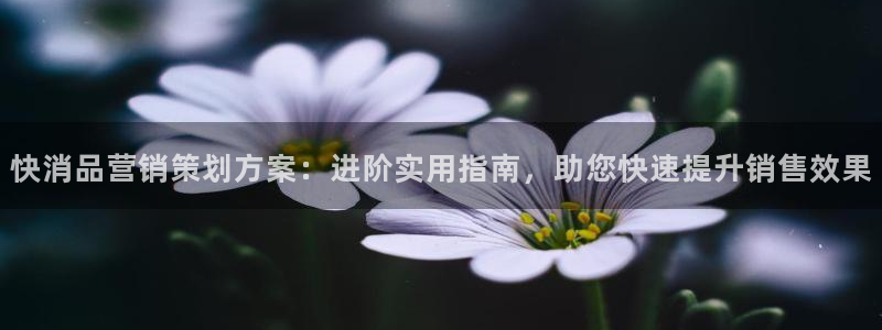 必赢图片