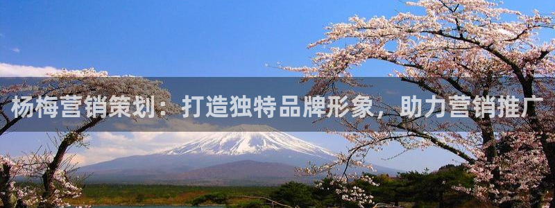 必赢下载苹果手机app