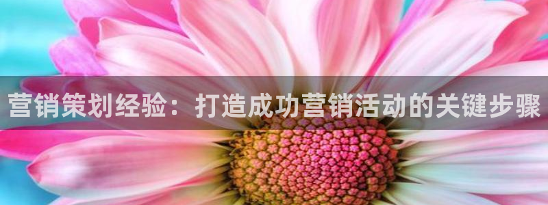 必赢8111e