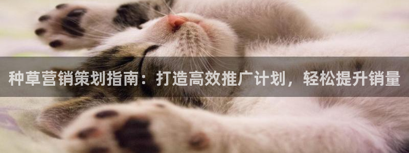 下载s7321必赢