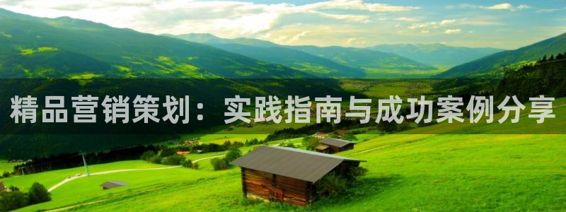 必赢科技中国有限公司