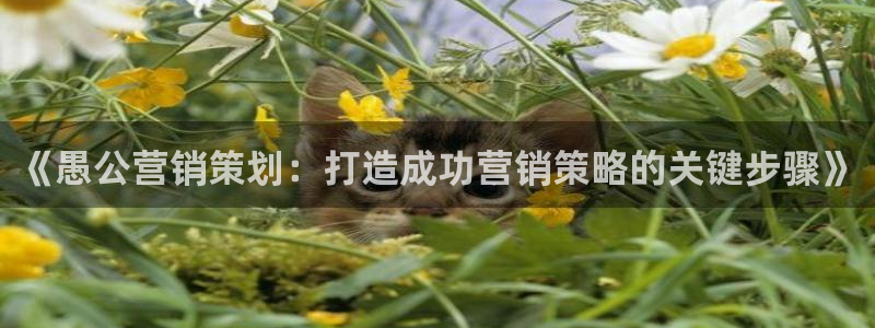 9965必赢游戏特色