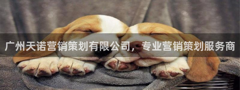 必赢平台电子