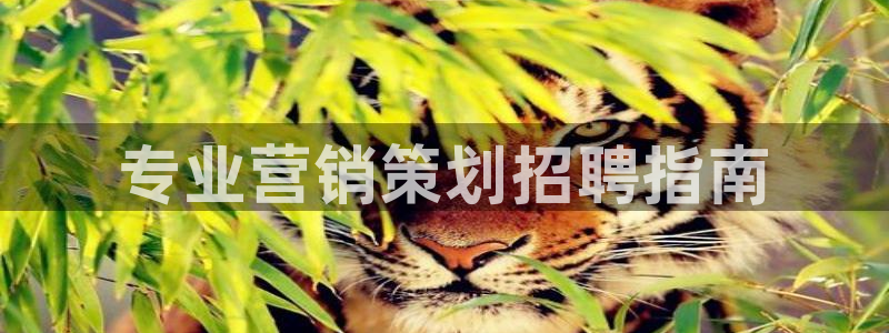 必赢官网入口下载安装手机版