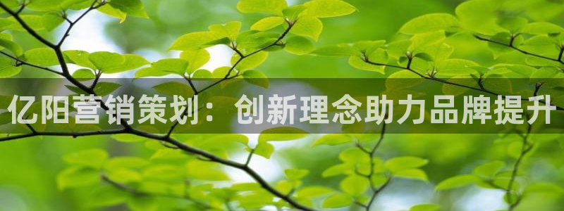 必赢下载安卓版最新版