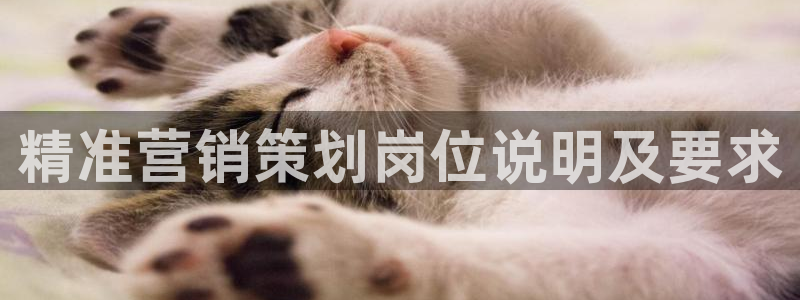 必赢九五