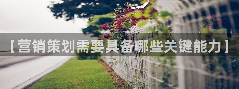 必赢网址手机主页