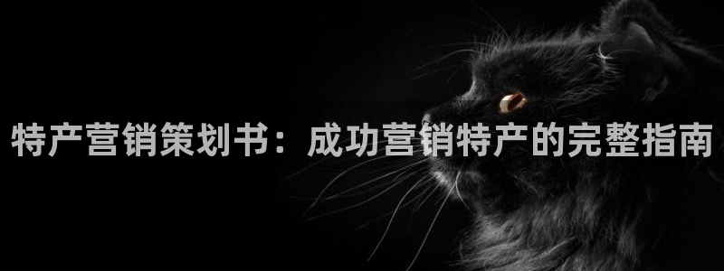 必赢网站