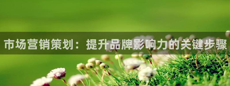 9965必赢游戏网址