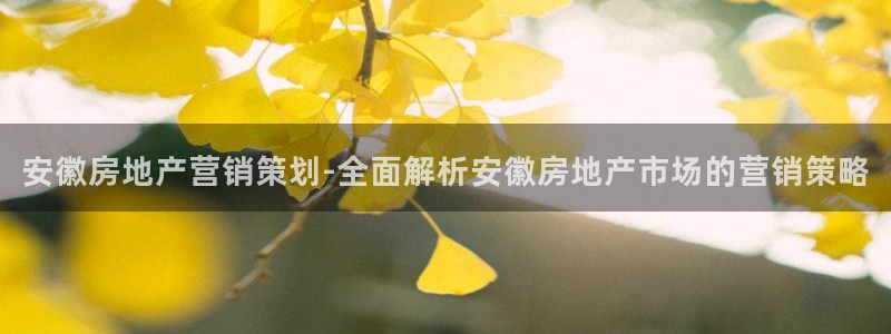 必赢官网入口下载安装手机版