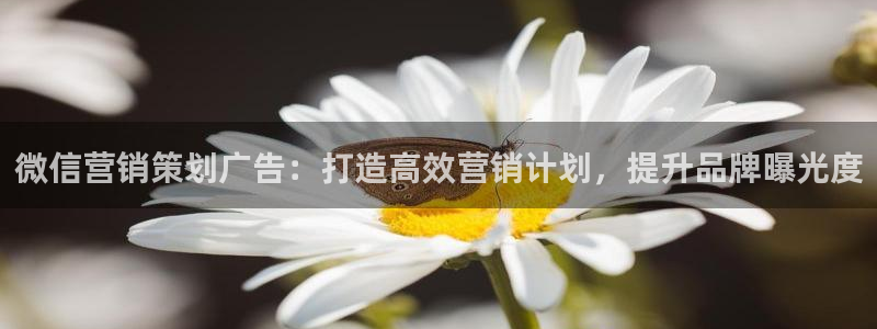 必赢网站有哪些