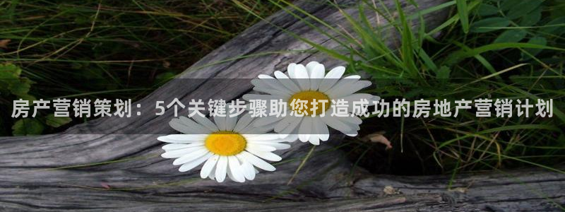 必赢官网app下载苹果版