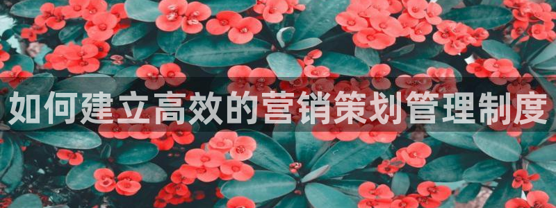 必赢官网入口下载
