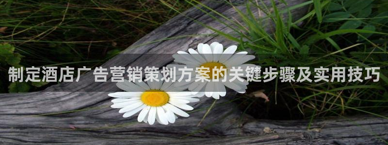 必赢516net怎么进