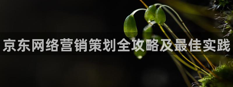 必赢国际437官方简介