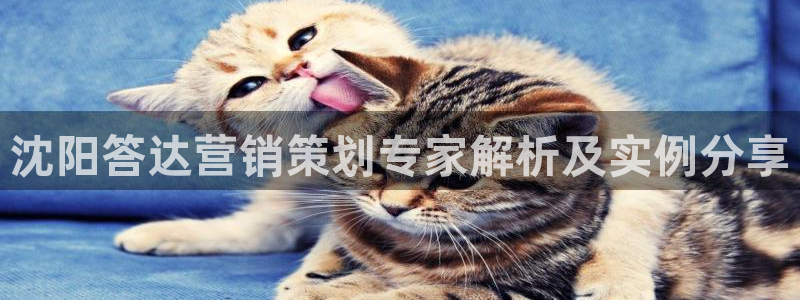 必赢网站充值是真的吗