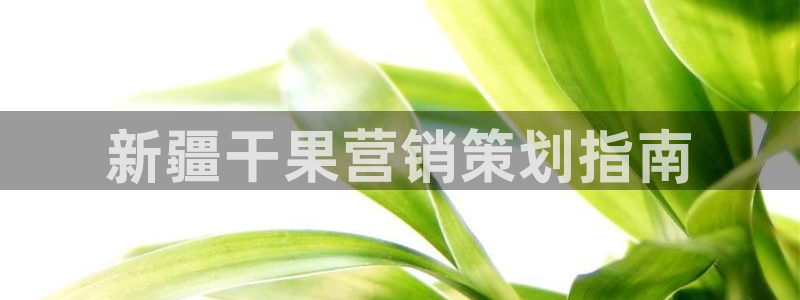必赢棋脾9655app下载
