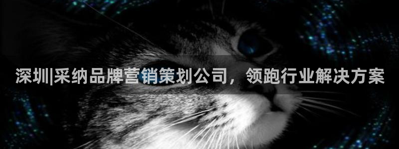 必赢手机版网站多少