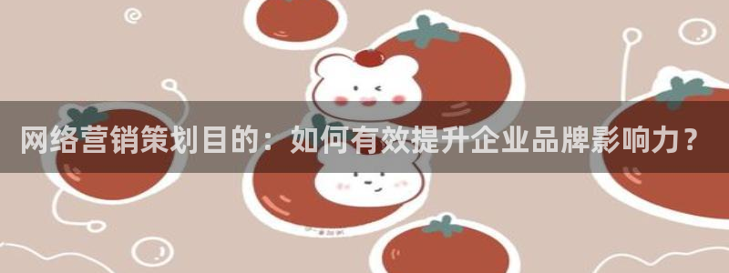 必赢网站是多少啊