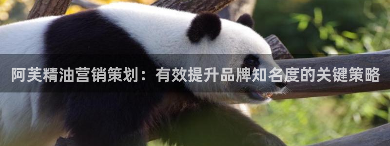 必赢下载二维码