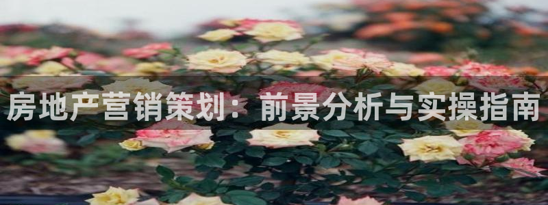 必赢官网app下载安装苹果