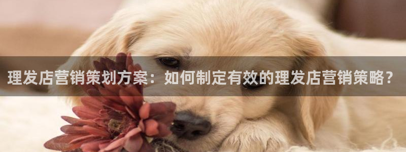必赢宝app软件下载