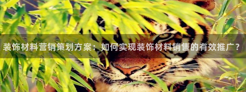 必赢bwinapp