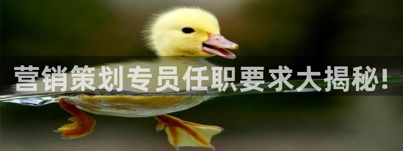 必赢官网网址8873