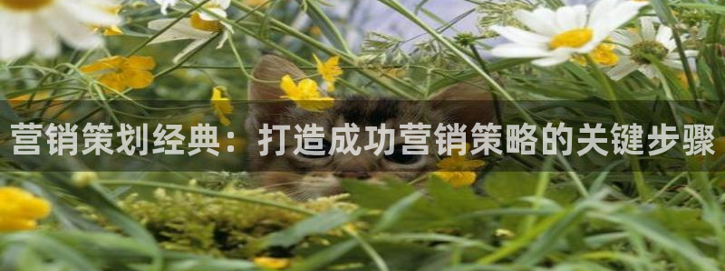必赢下载地址