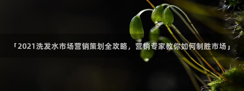 必赢公司