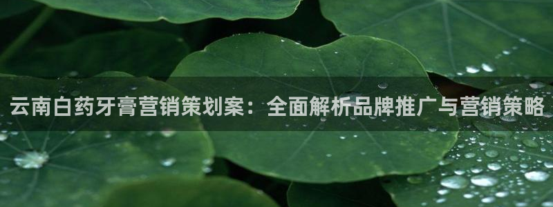 必赢72886网址多少啊