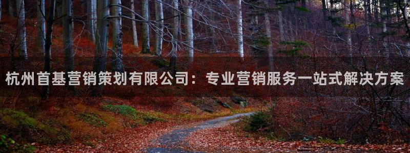 必赢.apk