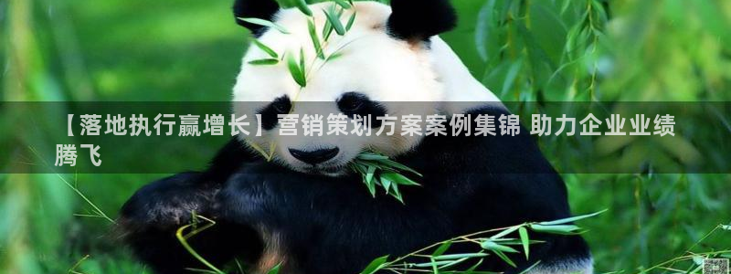 必赢活动安卓下载app