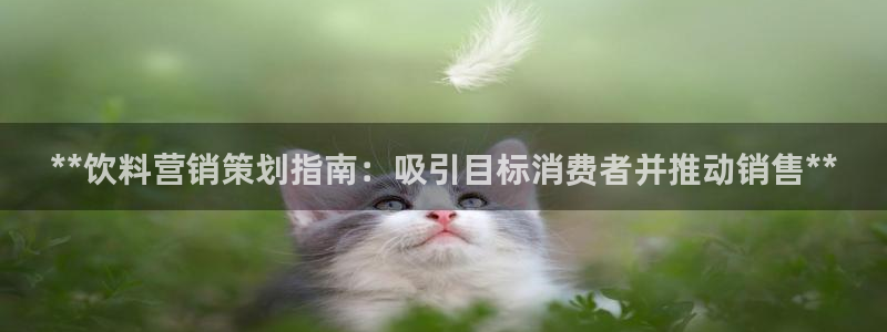必赢88