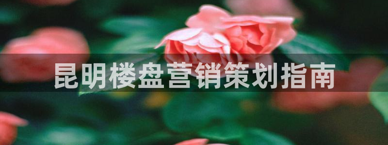 必赢手机app下载安装最新版