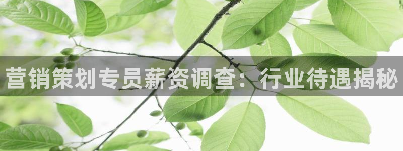 必赢手机app下载 最新版本