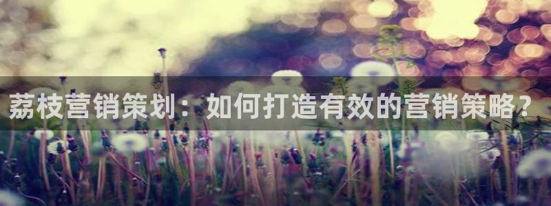 必赢平台网