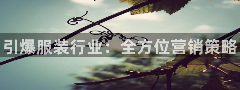 必赢国际437