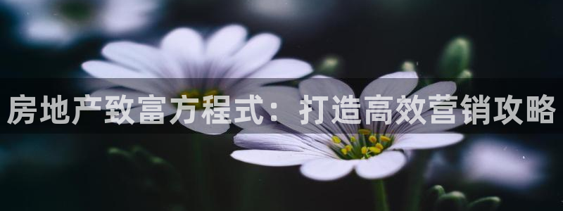 必赢公司
