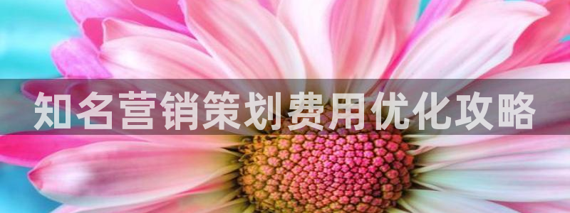 必赢437官网