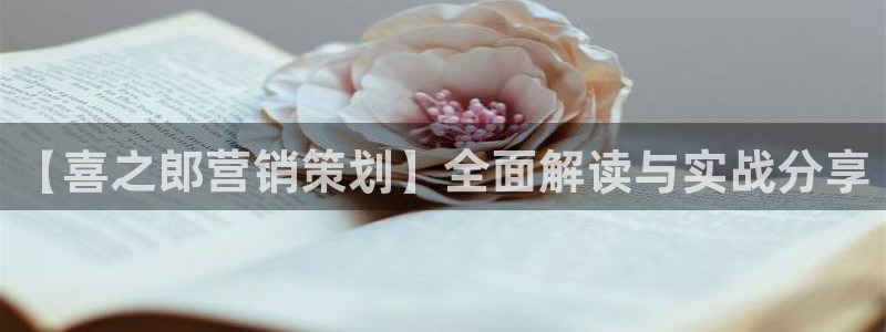 必赢官网网站首页入口