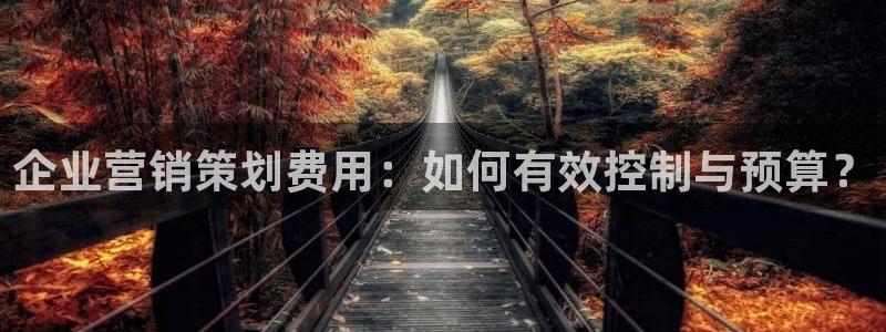 必赢线上网址是什么