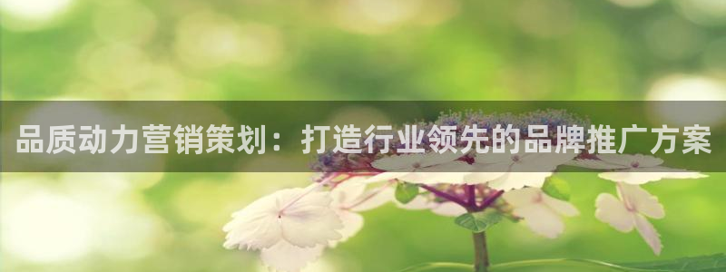 必赢这个软件怎么样啊