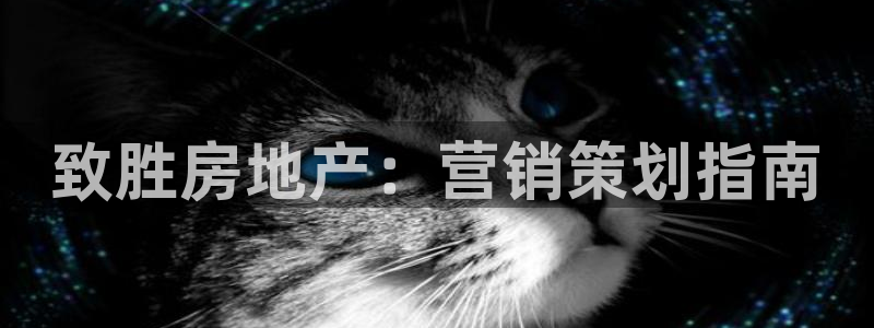 必赢888国际集团