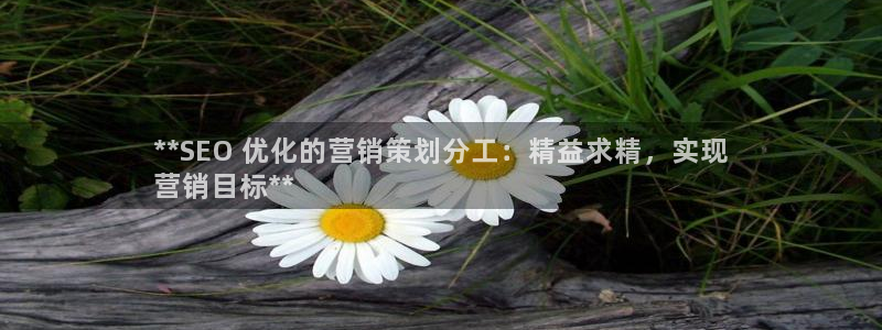 必赢活动安卓下载app